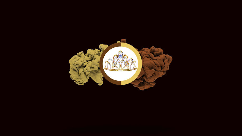 Who's Who Pageant